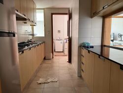 sunglade photo thumbnail #18